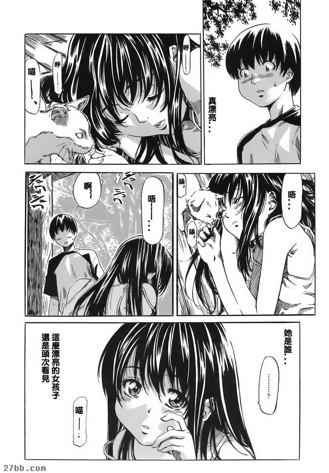 樁2006