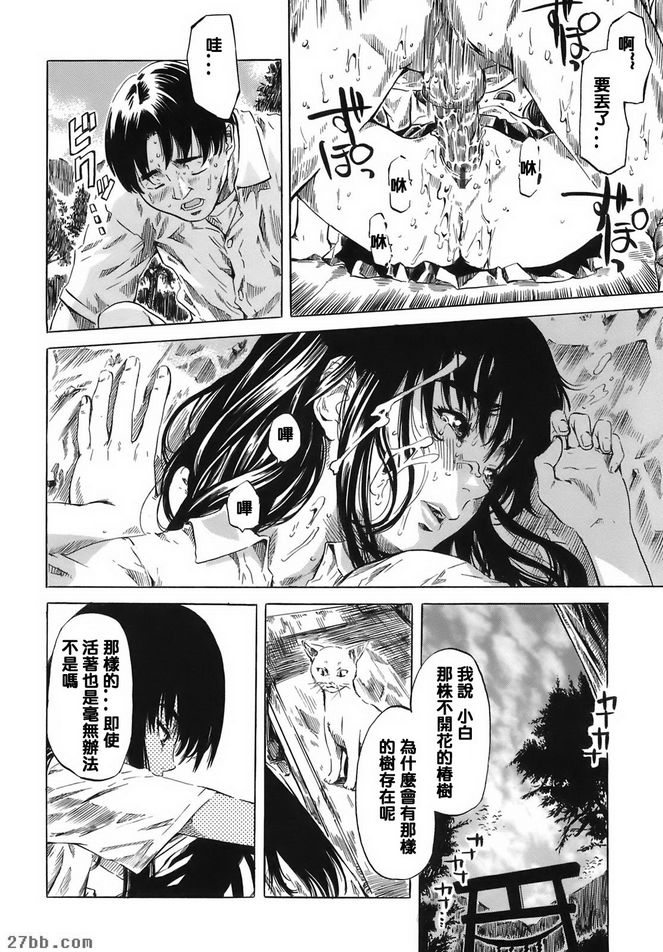 樁夏