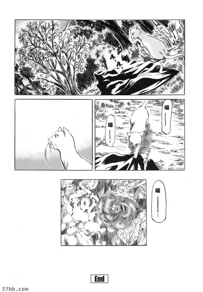 樁夏