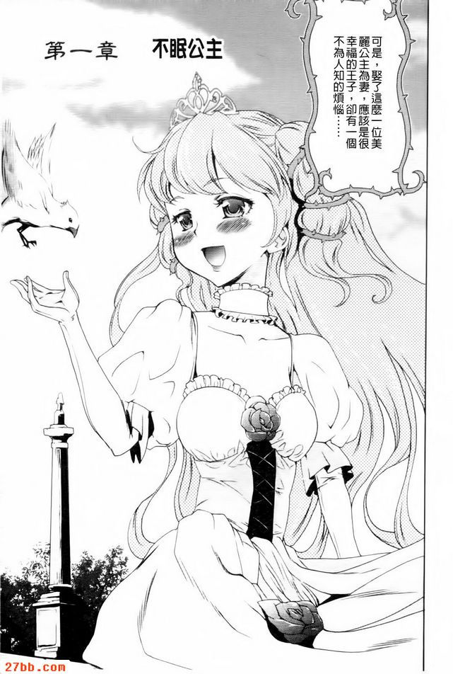 不睡覺公主