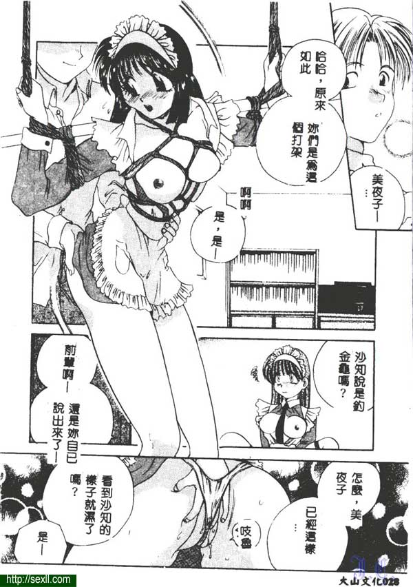 侍女-二人受懲罰篇