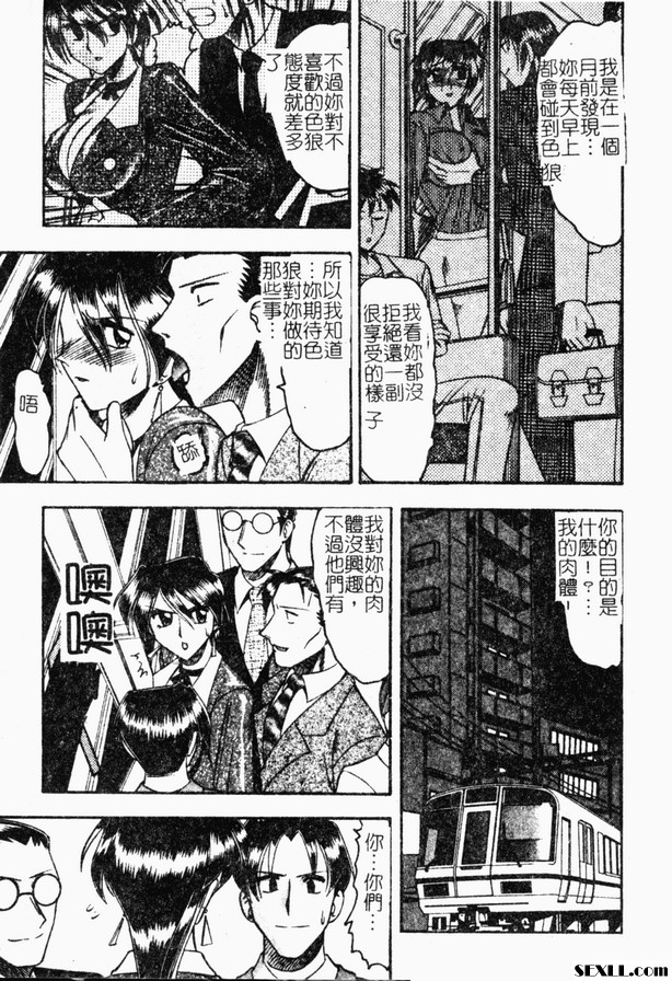 私之秘密