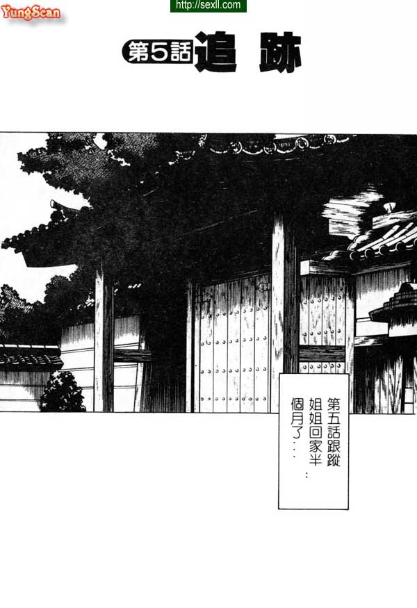 5：跟蹤
