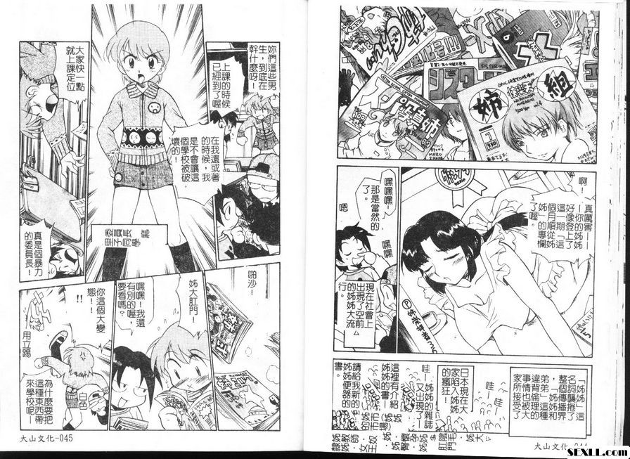 姊妹的情色規則