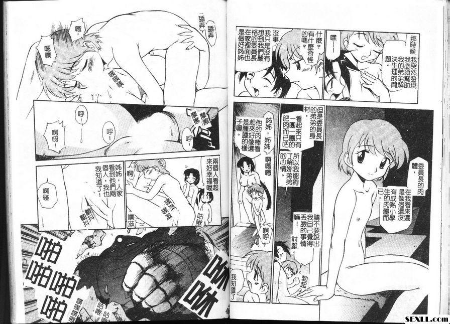 姊妹的情色規則