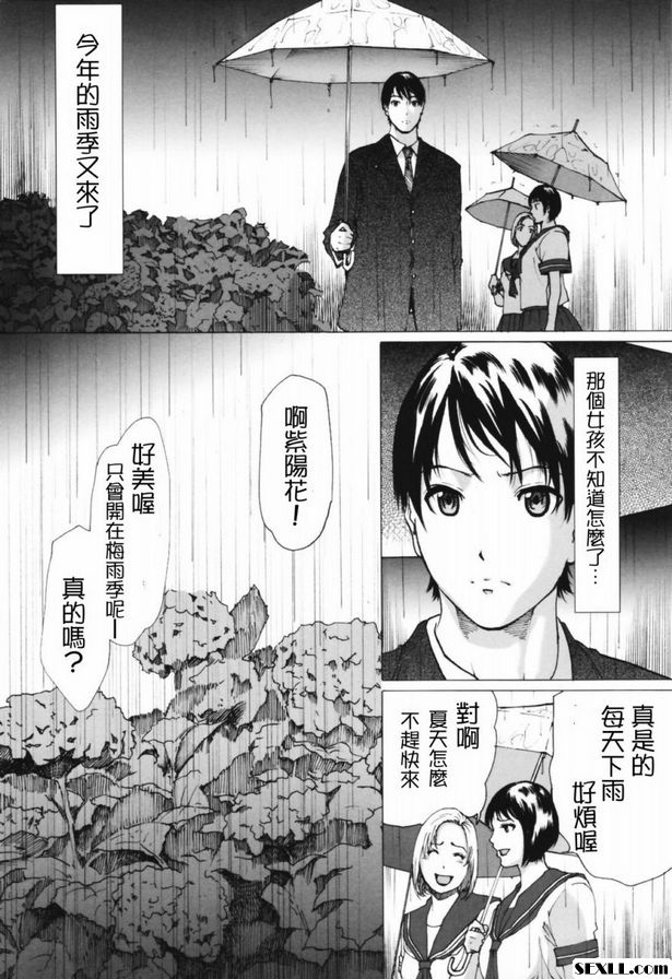 紫陽花