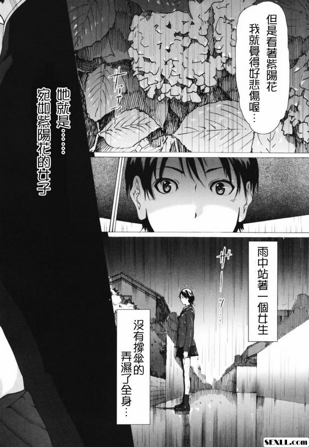 紫陽花