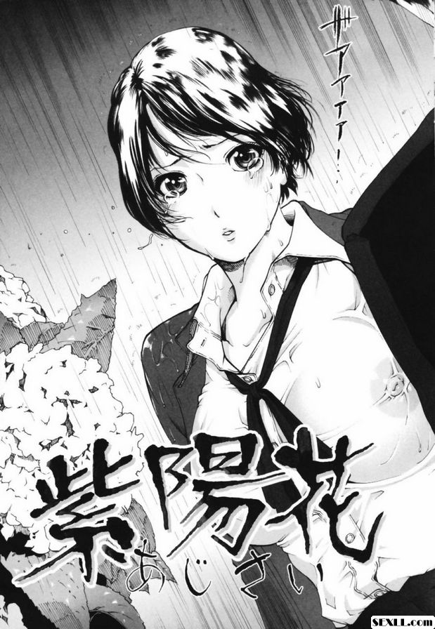 紫陽花