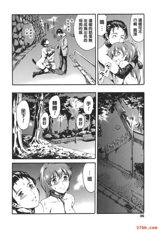 帶狗狗散步