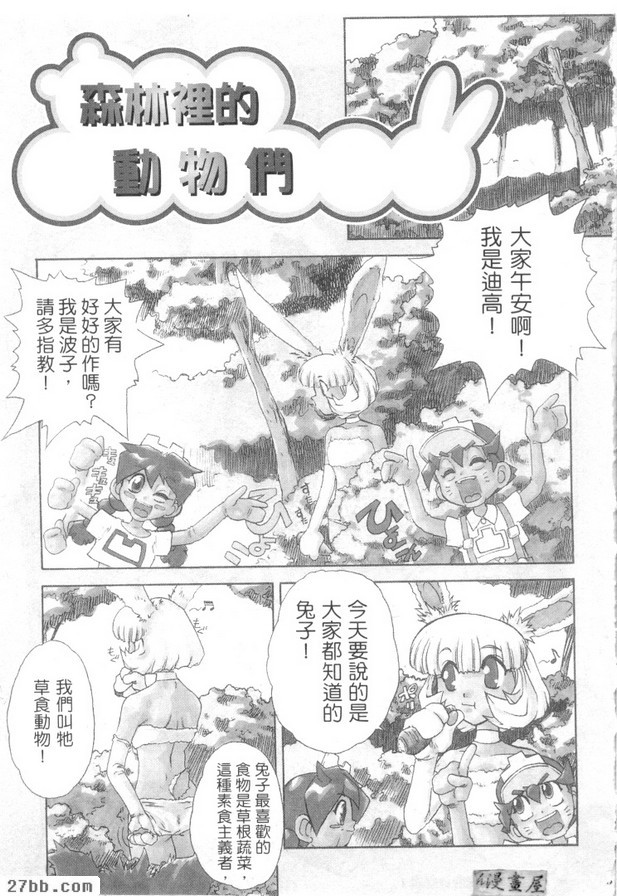森林裡的動物們