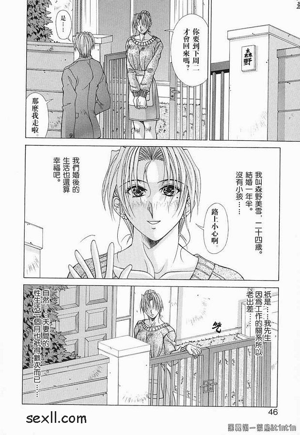 悖德之宴