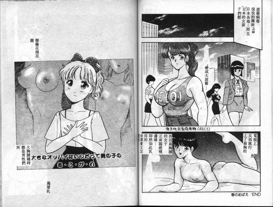 薔薇花開花謝