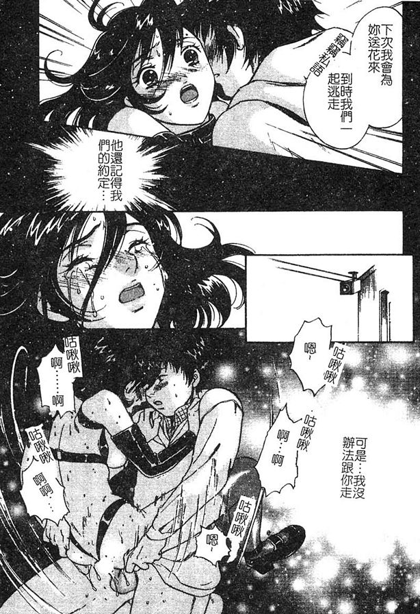 夢の習慣