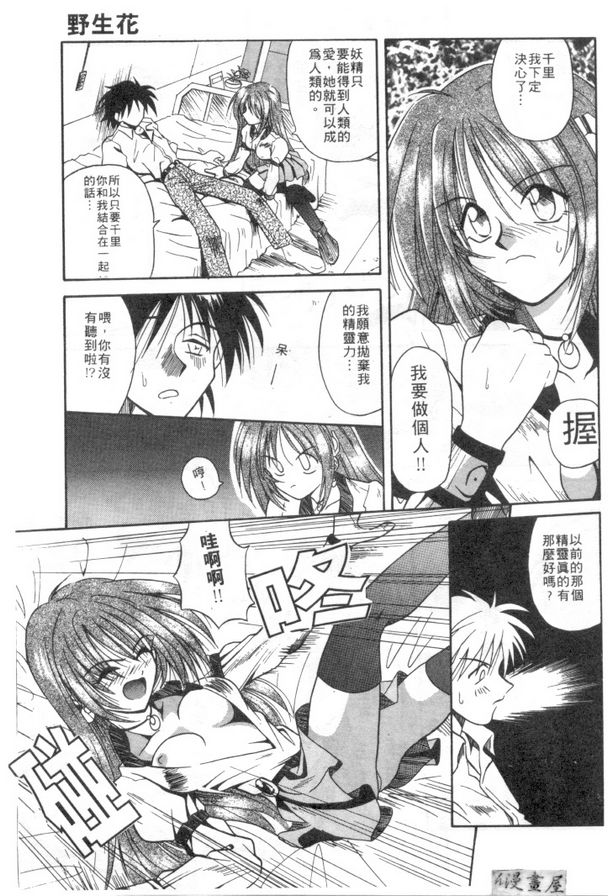 野生花
