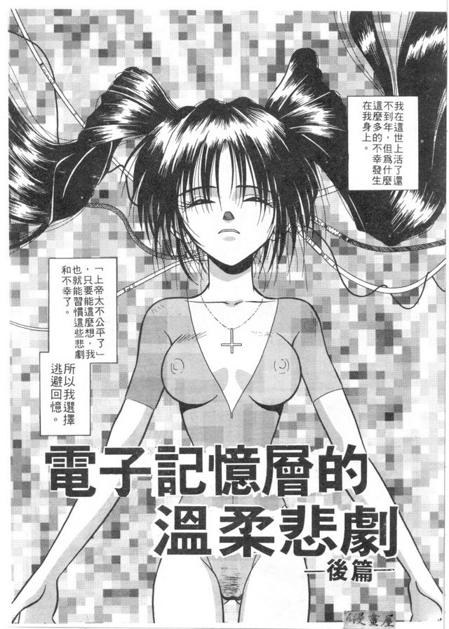 電子記憶層的溫柔硬體後