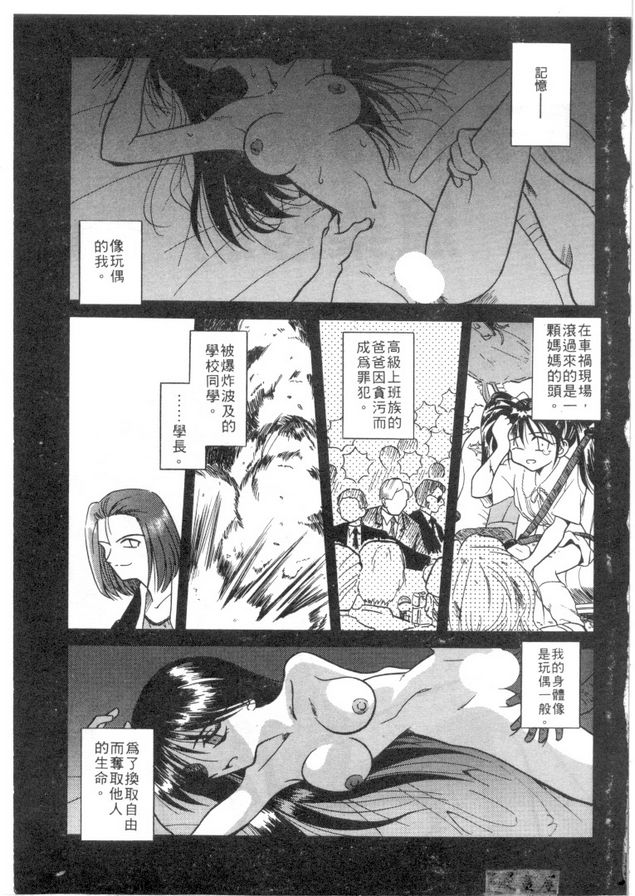 電子記憶層的溫柔晶片 前