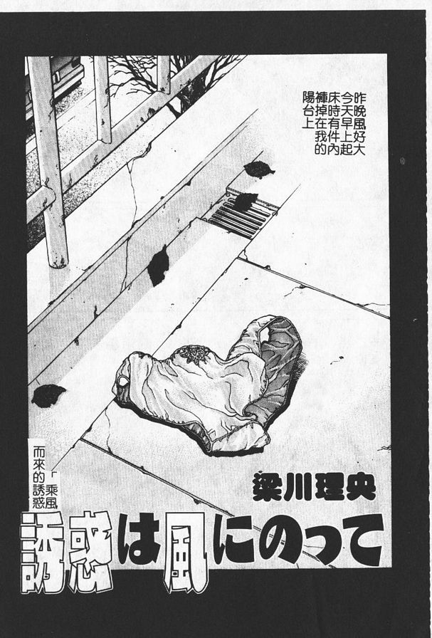 乘風而來的誘惑