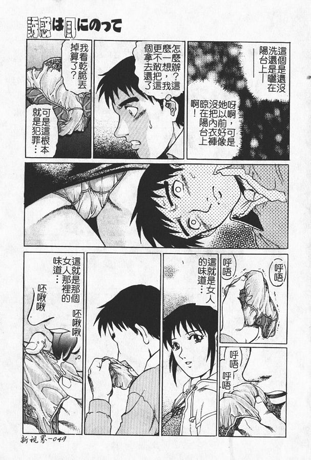 乘風而來的誘惑