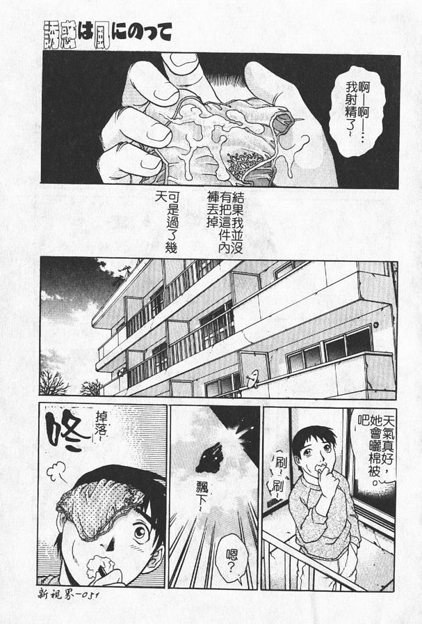 乘風而來的誘惑