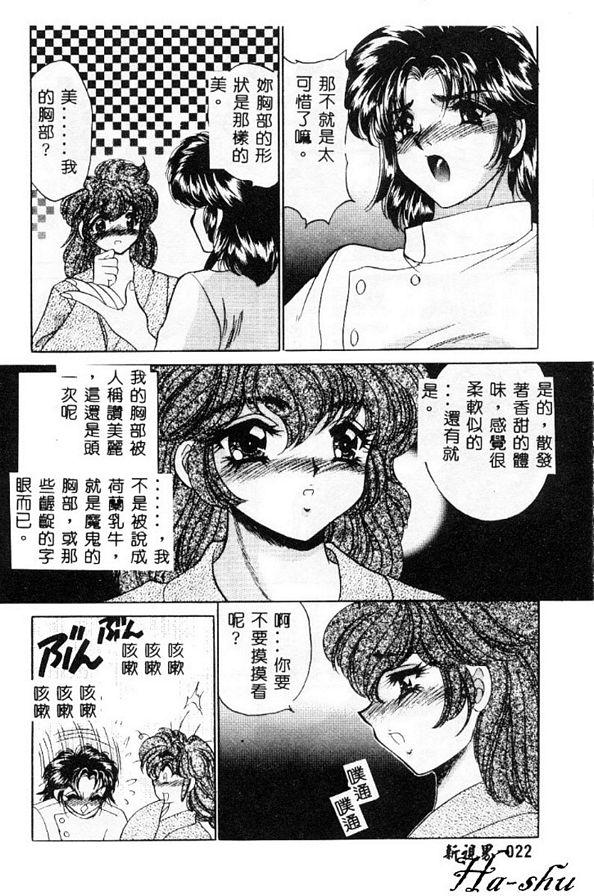 巨乳無適當的職業2