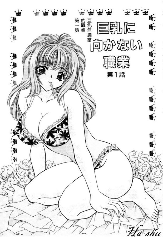 巨乳無適當的職業1
