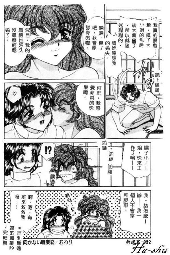 巨乳無適當的職業2