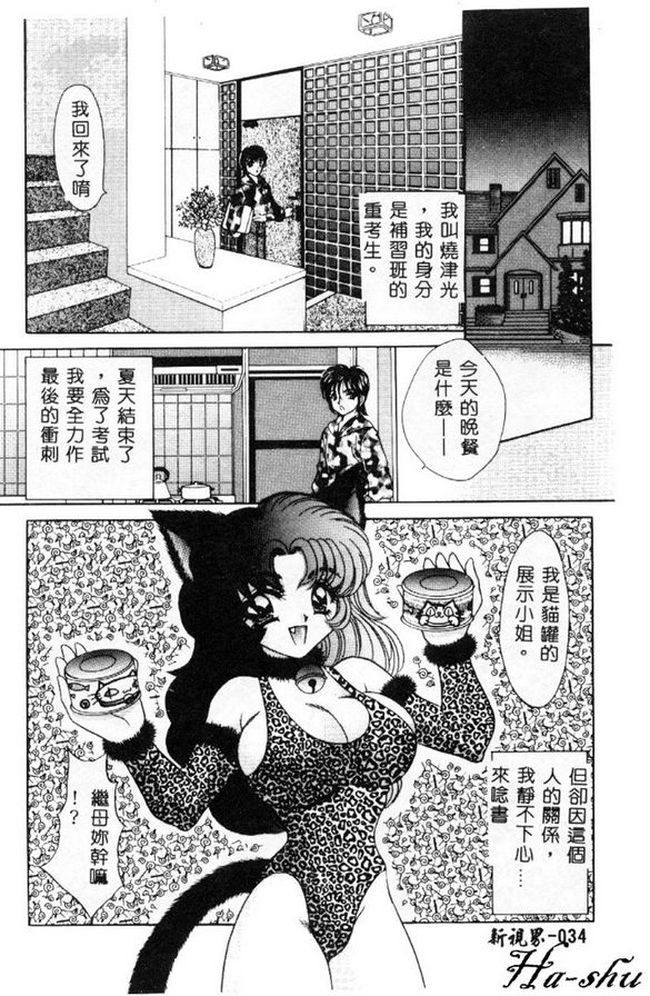 巨乳無適當的職業3