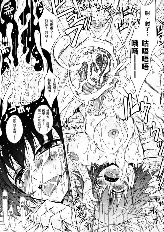 風風之軌跡