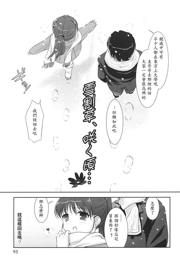 雪割草，開花時