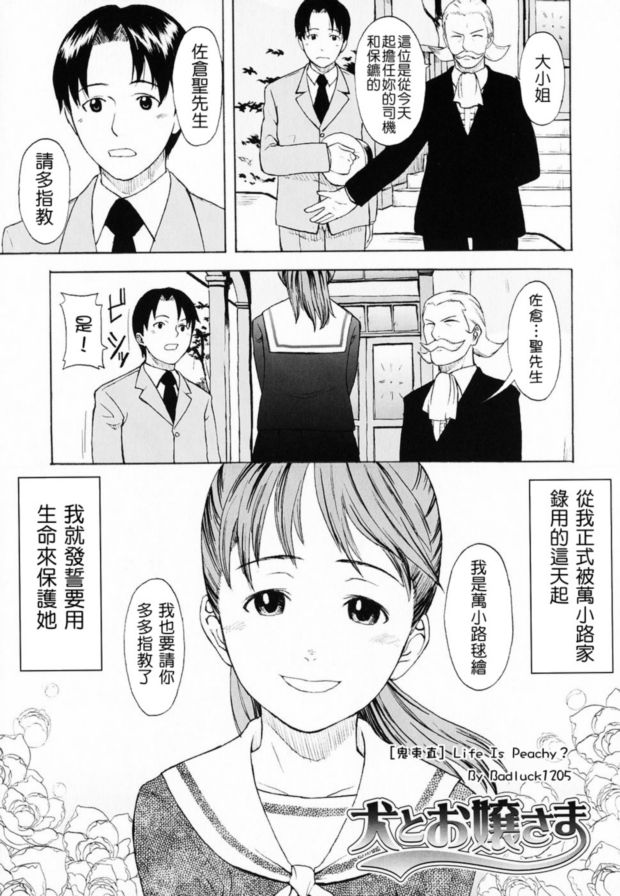 狗和懷孕