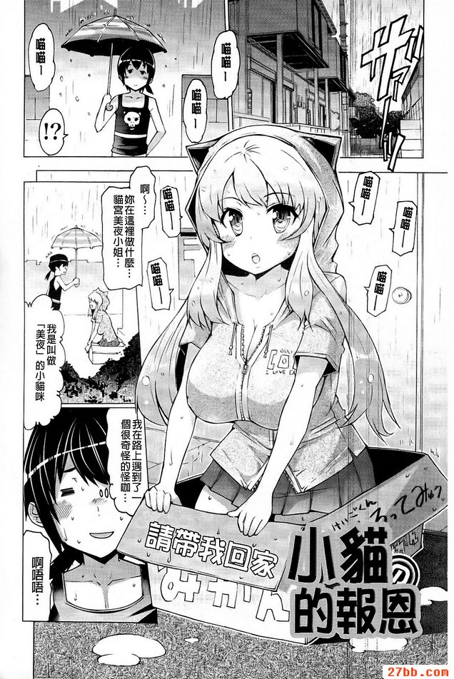 小貓的報恩