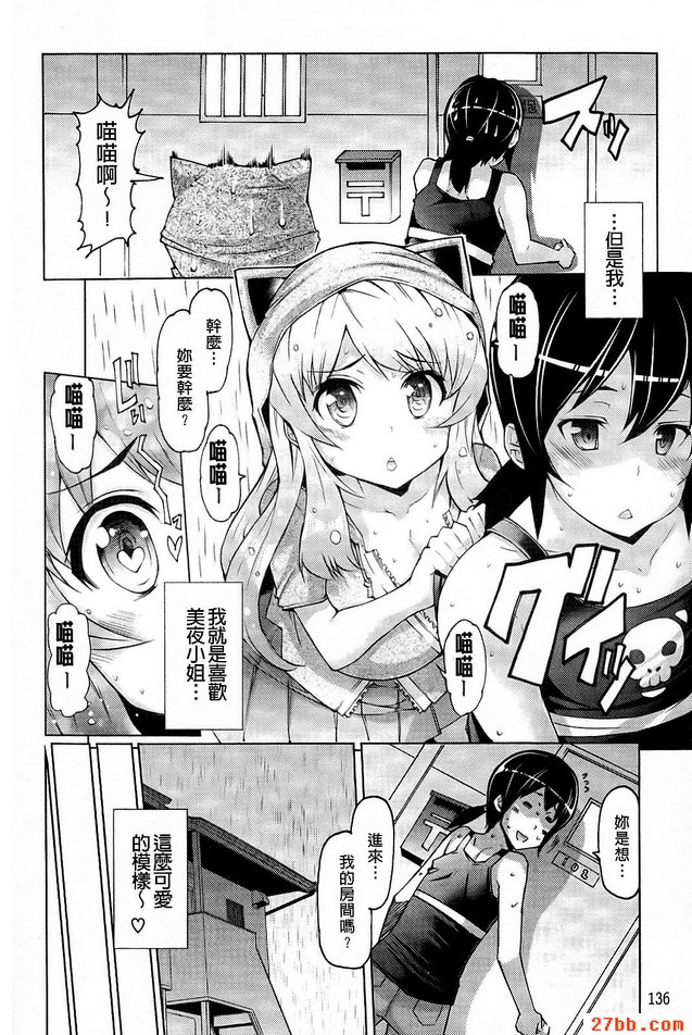 小貓的報恩