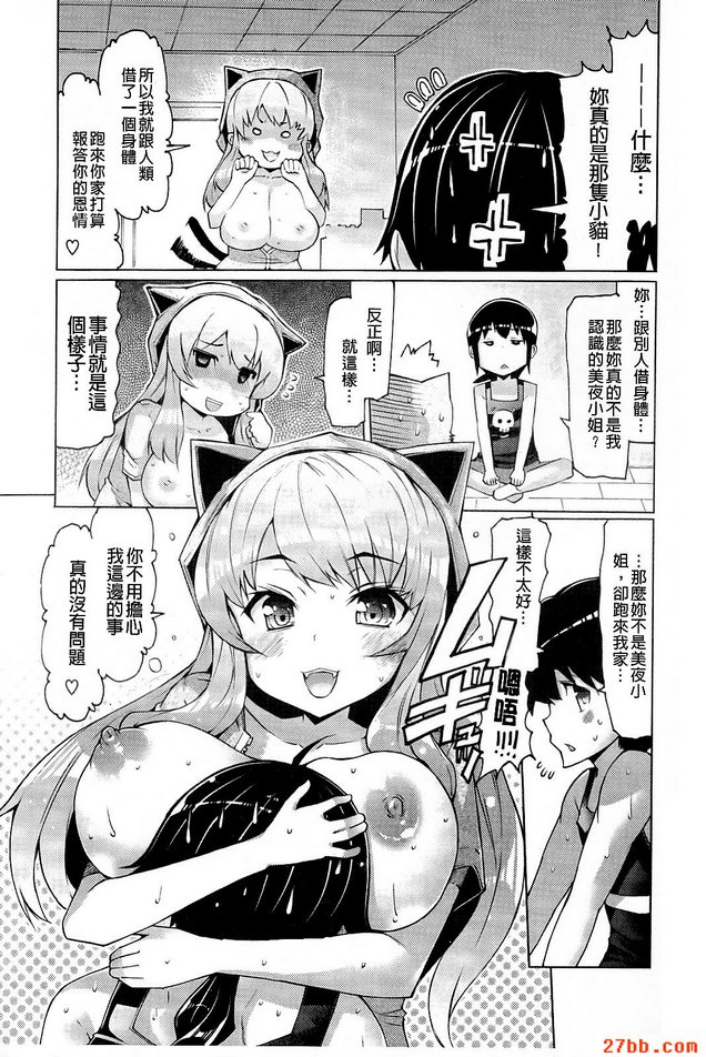 小貓的報恩