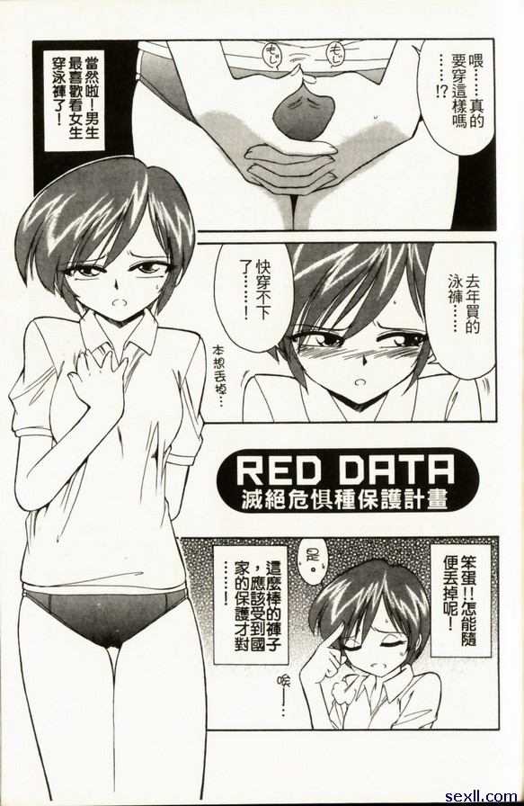 紅色資料