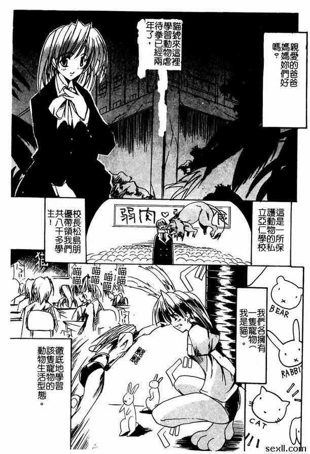 動物虐待拳