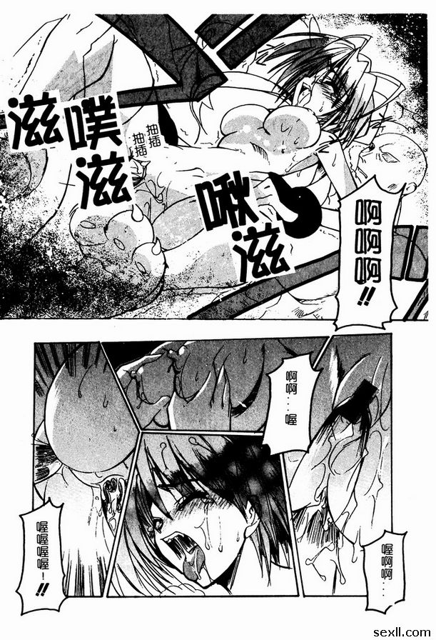 動物虐待拳