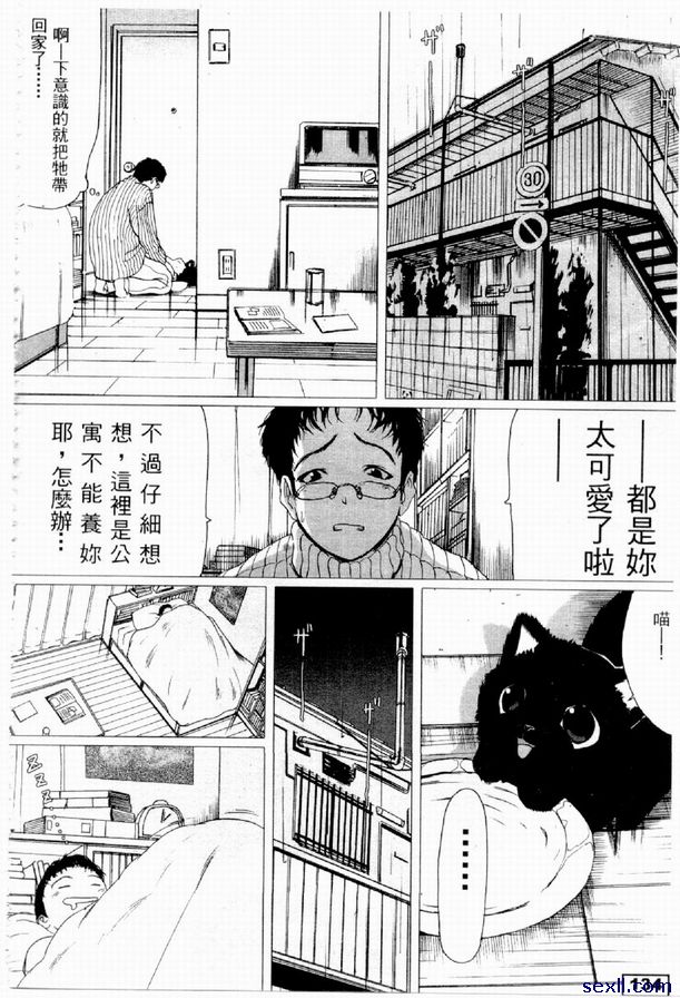 貓戀人