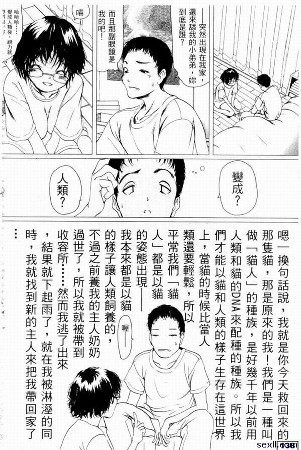貓戀人