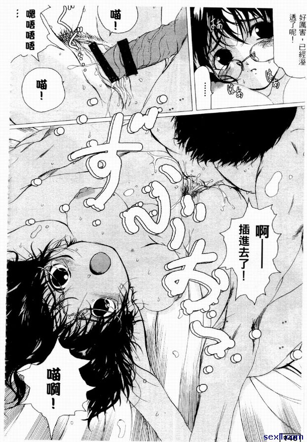 貓戀人