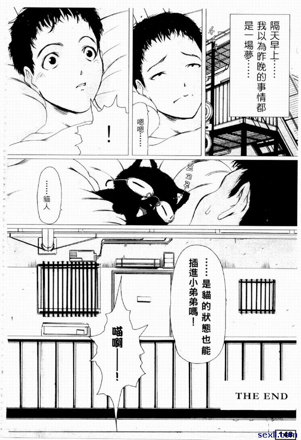 貓戀人