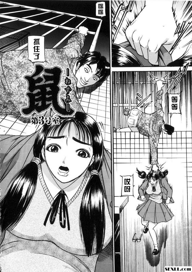 老鼠3