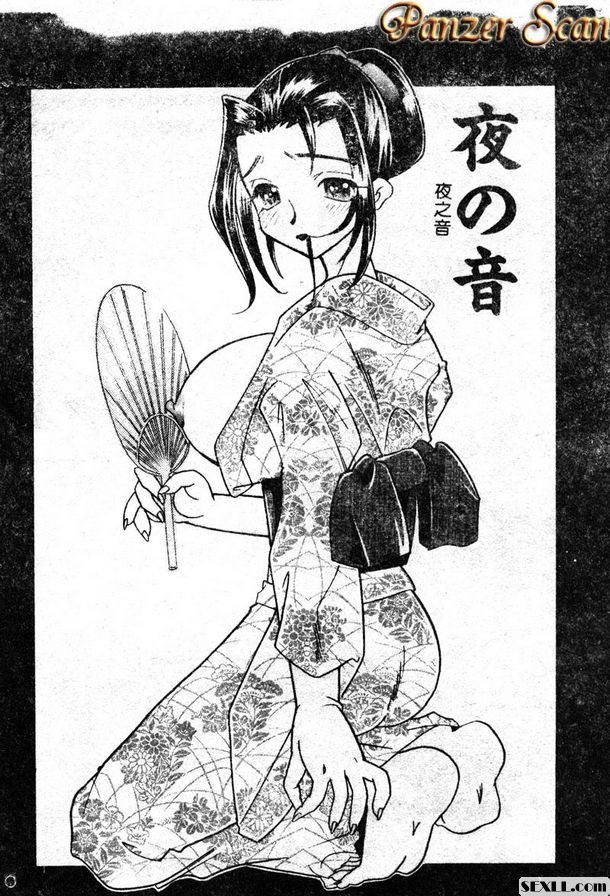 夜之音