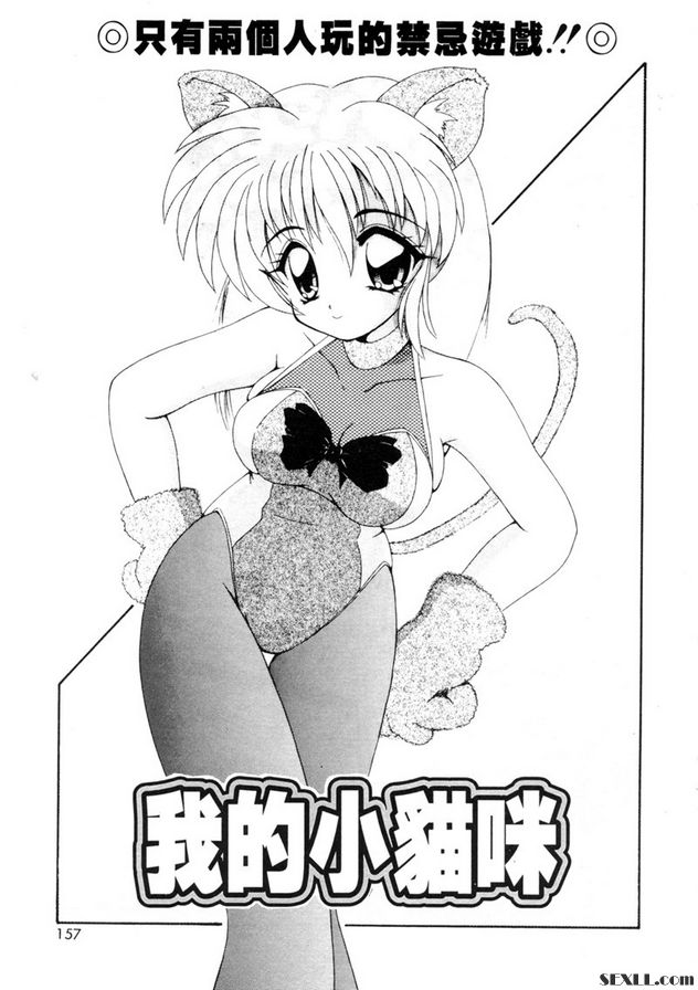 我的小貓咪