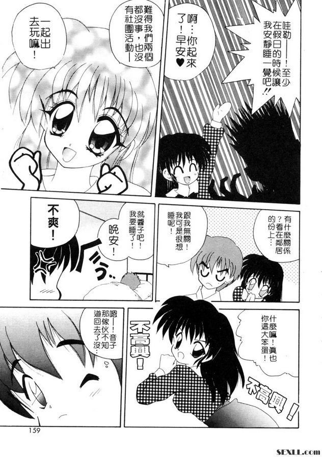 我的小貓咪
