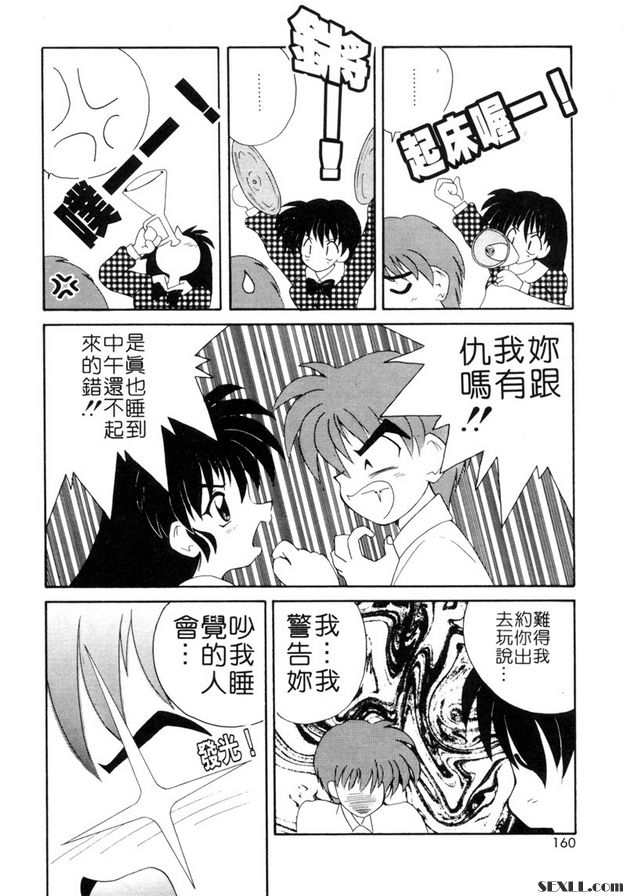 我的小貓咪