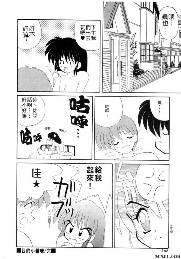 我的小貓咪