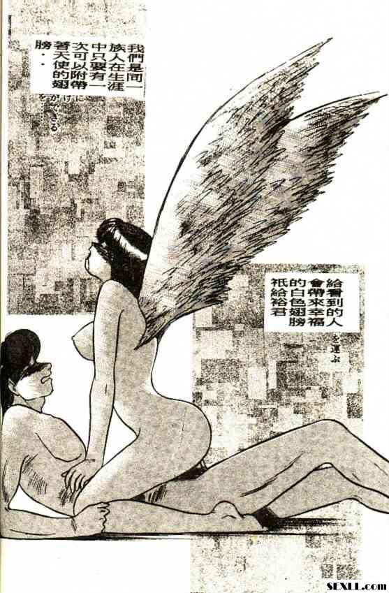 白翼