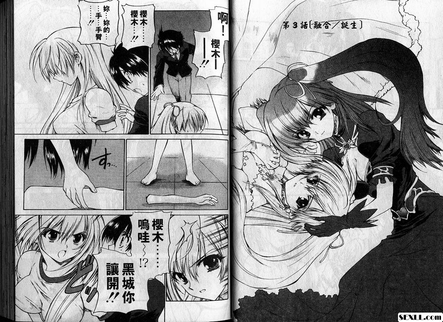 3: 融合/誕生
