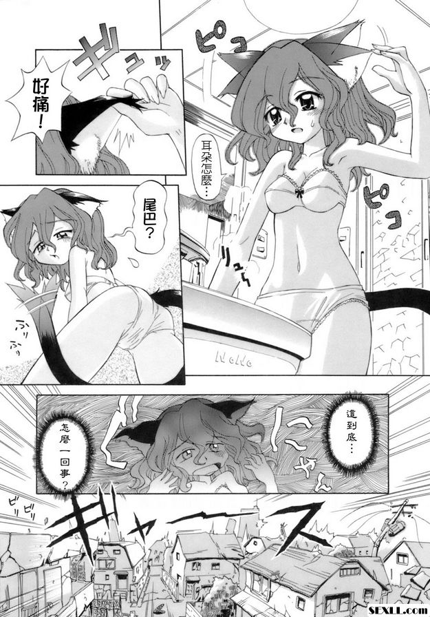貓遊戲
