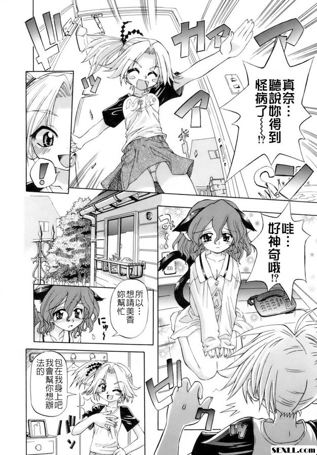 貓遊戲
